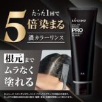 LUCIDO Speedy Color Rinse – Natural Black Hair Color & Shine (160g)